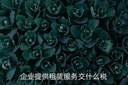 企業提供租賃服務交什么稅