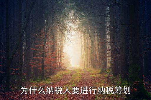 為什么要進行稅收規劃，為什么納稅人要進行納稅籌劃
