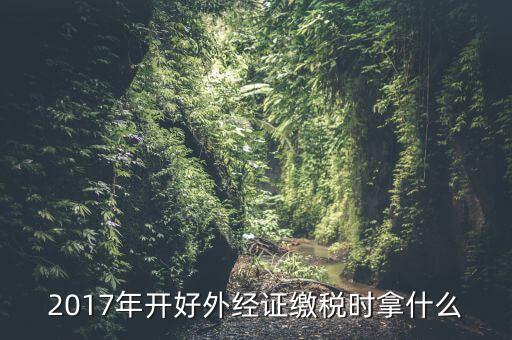 2017年開好外經證繳稅時拿什么