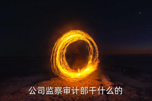 公司監察審計部干什么的