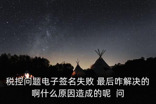 什么是稅控簽名，報稅時數字簽名是甚么意思
