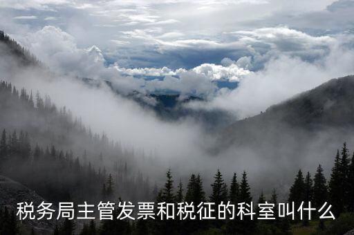 國稅稅務局都有什么科，稅務局主管發票和稅征的科室叫什么