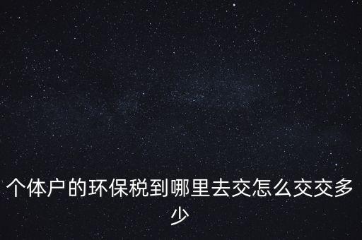 個體戶的環保稅到哪里去交怎么交交多少