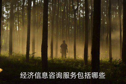 經濟信息咨詢服務包括哪些