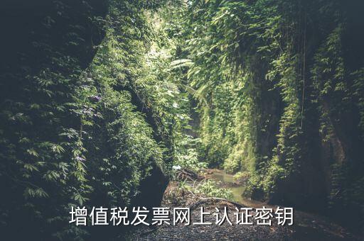 增值稅發票網上認證密鑰