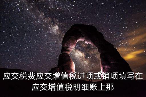 扣繳稅款登記填什么稅，在個人所得稅代扣代繳軟件中所要填寫的稅務(wù)登記號是填國稅的還是地
