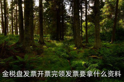 金稅盤發票開票完領發票要拿什么資料