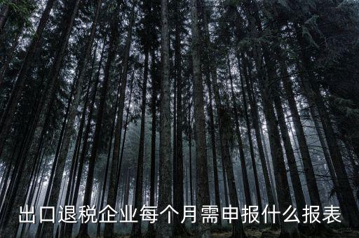 出口退稅每月需做什么申報，外貿企業第一次申報出口退稅需要準備哪些資料