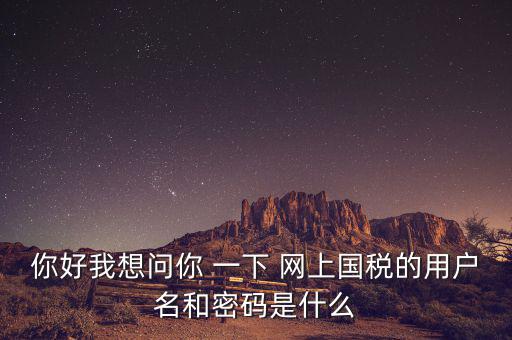 你好我想問你 一下 網上國稅的用戶名和密碼是什么