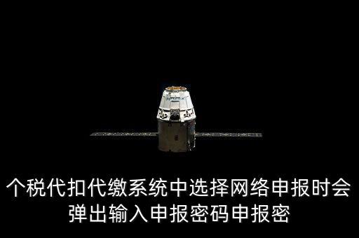個稅申報密碼是什么意思，網上報稅 報稅密碼是什么