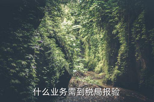 什么是稅務(wù)報驗，地稅發(fā)票報驗是什么回事啊 怎么報驗什么時候報驗啊