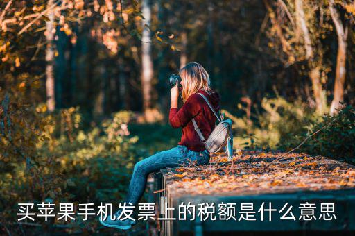 買蘋果手機發票上的稅額是什么意思
