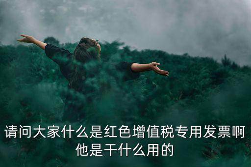 請問大家什么是紅色增值稅專用發票啊他是干什么用的