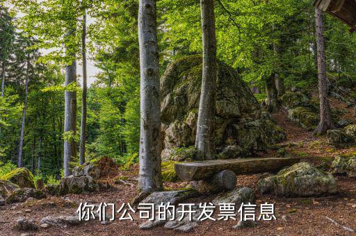 你們公司的開發票信息