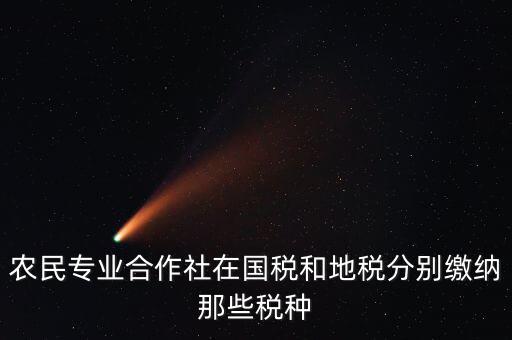 農民專業合作社在國稅和地稅分別繳納那些稅種
