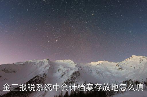 金三報稅系統中會計檔案存放地怎么填