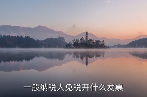 一般納稅人免稅開什么發票