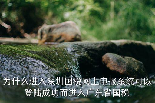 為什么進入深圳國稅網上申報系統可以登陸成功而進入廣東省國稅