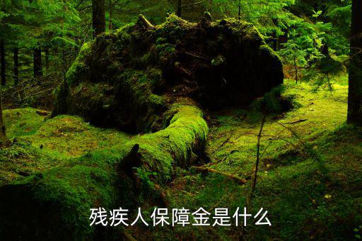什么叫殘疾人就業保障金，殘疾人就業保障金
