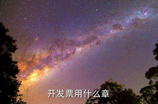 開發票用什么章