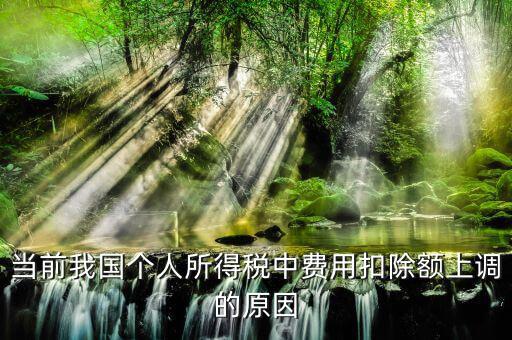 當前我國個人所得稅中費用扣除額上調的原因