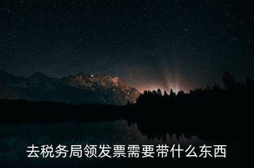 去稅務局領發票需要帶什么東西
