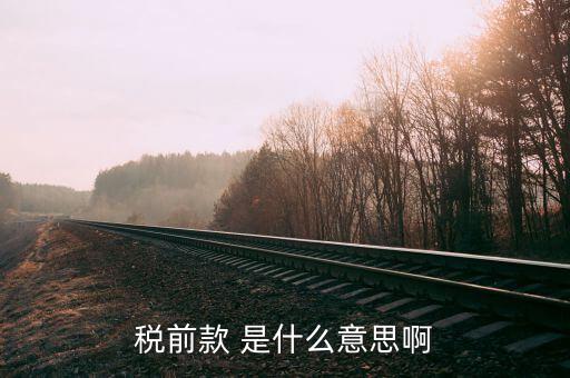 什么是稅前項目費，稅前款 是什么意思啊