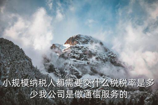 小規模納稅人都需要交什么稅稅率是多少我公司是做通信服務的