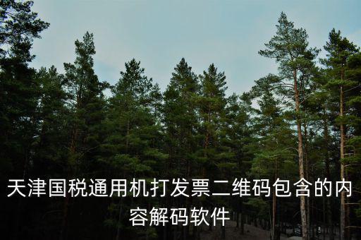 天津國稅通用機打發票二維碼包含的內容解碼軟件