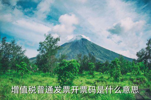 增值稅普通發票開票碼是什么意思