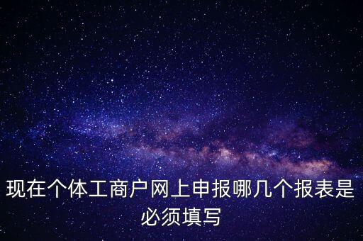 現在個體工商戶網上申報哪幾個報表是必須填寫