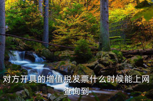 對方開具的增值稅發票什么時候能上網查詢到