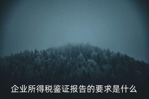 企業所得稅鑒證報告的要求是什么