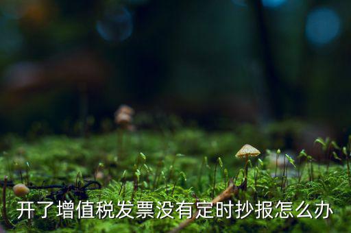 開了增值稅發票沒有定時抄報怎么辦