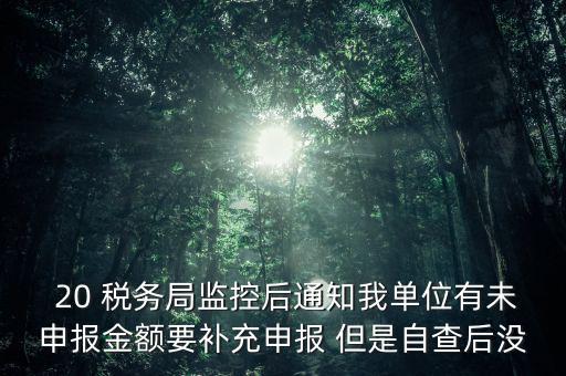 稅務局為什么風險報告，稅務局發來稅遵從風險分析報告什么意思