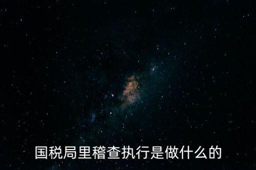 國稅局專案稽查查什么，稅局稽查會查些什么怎么應對