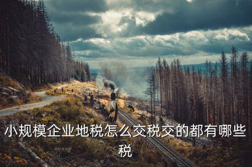 小規模企業地稅怎么交稅交的都有哪些稅