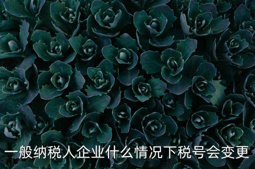 一般納稅人企業什么情況下稅號會變更