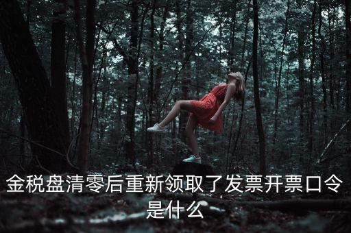 金稅盤清零后重新領取了發票開票口令是什么