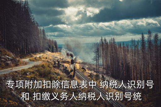 專項附加扣除信息表中 納稅人識別號 和 扣繳義務人納稅人識別號統