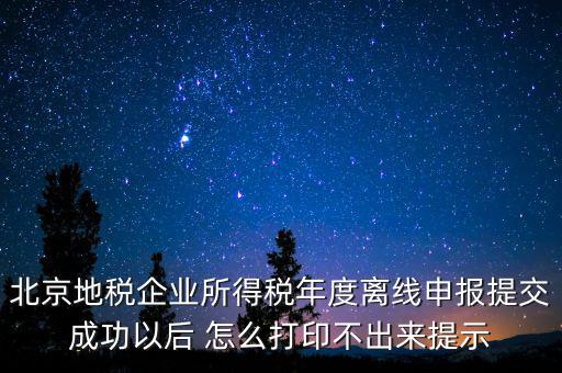 北京地稅企業所得稅年度離線申報提交成功以后 怎么打印不出來提示