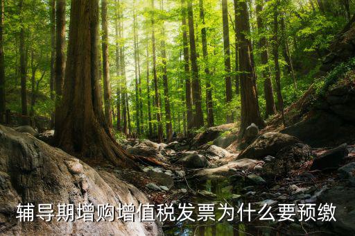 輔導期增購增值稅發票為什么要預繳