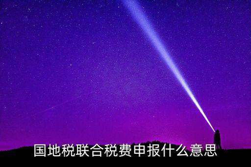 國稅地稅聯合有什么用，國地稅聯合稅費申報什么意思