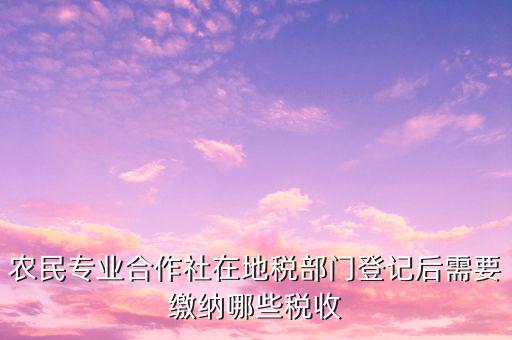 農民專業合作社在地稅部門登記后需要繳納哪些稅收