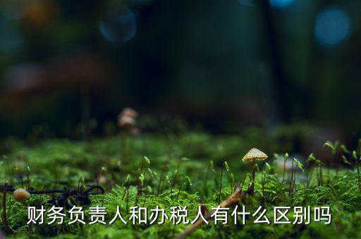 財務(wù)負責(zé)人和辦稅人有什么區(qū)別嗎
