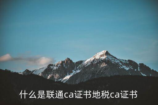 什么是聯通ca證書地稅ca證書