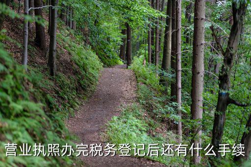 營業執照辦完稅務登記后還有什么手續