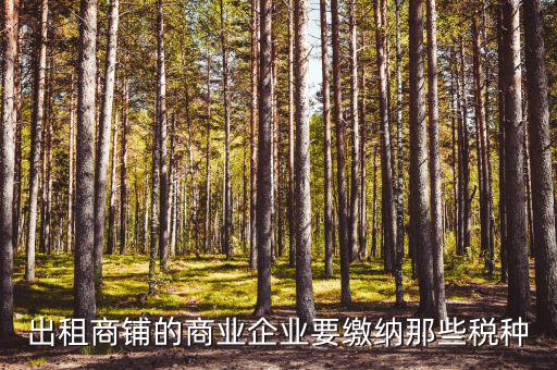 出租商鋪的商業企業要繳納那些稅種
