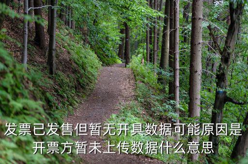 百旺的開票未上傳是什么意思，發票已發售但暫無開具數據可能原因是開票方暫未上傳數據什么意思