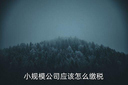 小規模公司應該怎么繳稅